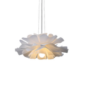 Lampa Sufitowa HoDL0182