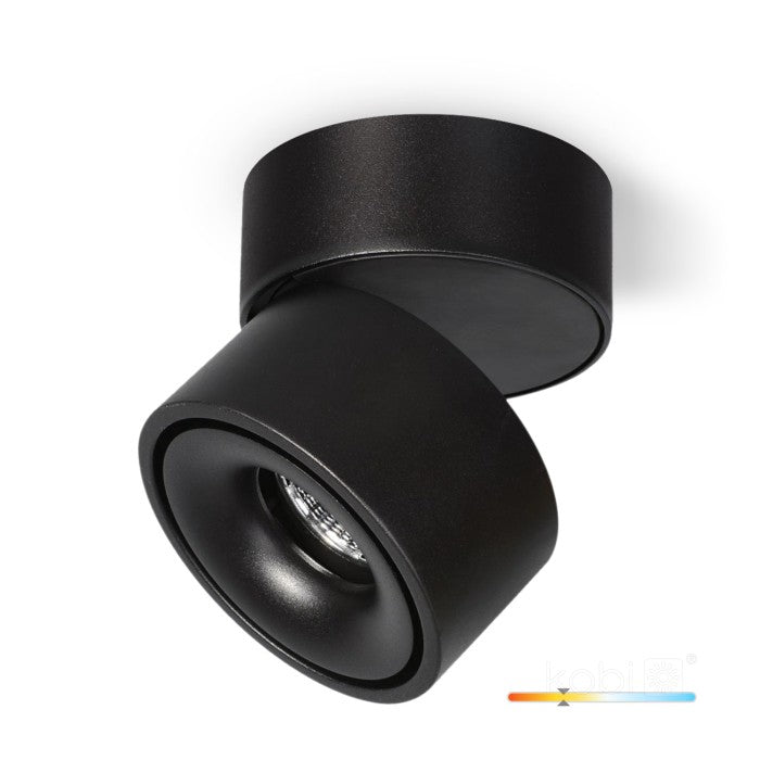 Lampa Sufitowa Spot HoDL015B