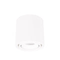 Lampa Sufitowa Spot HoDL0299AquaW