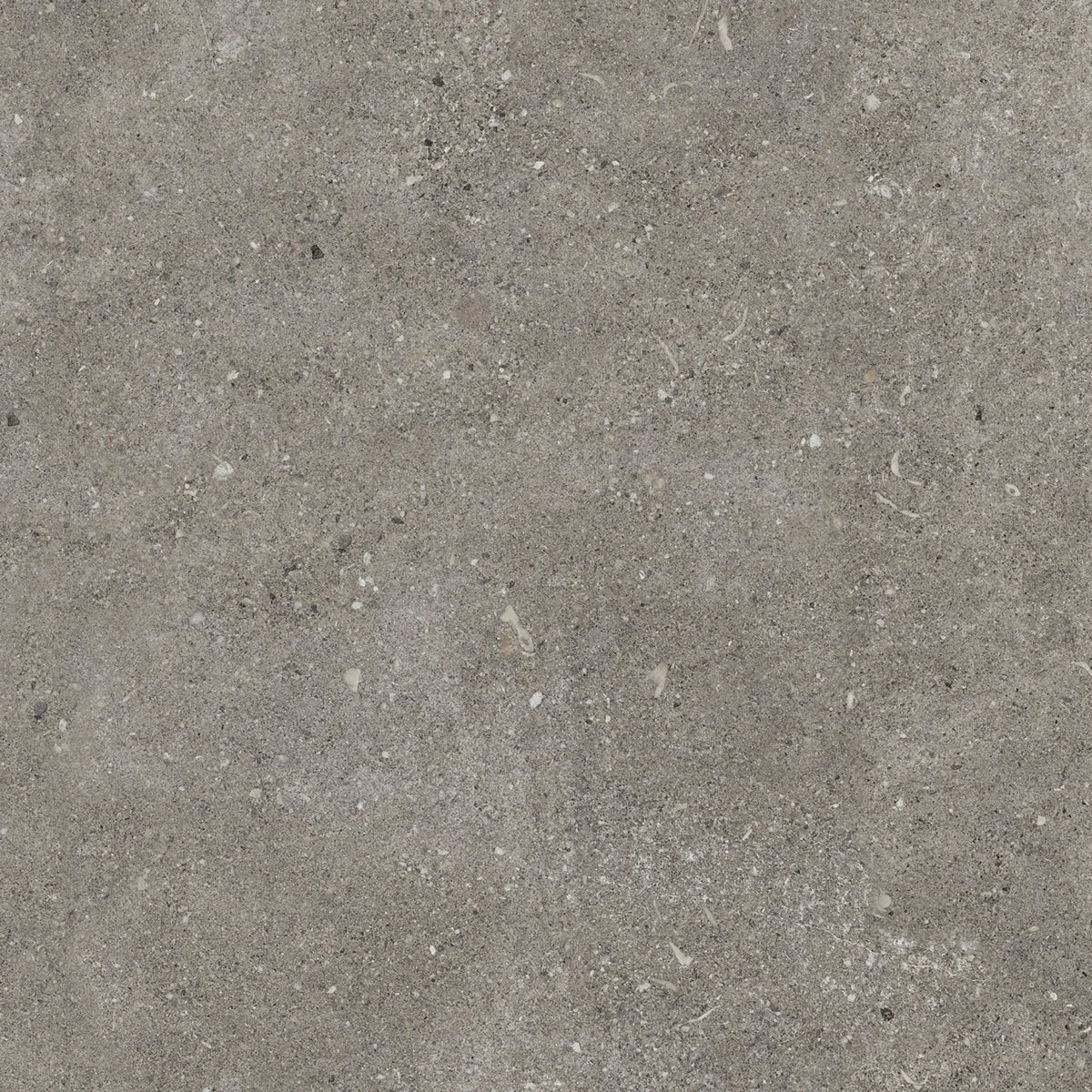 Płytka Montea Grey HoDP0182 60x60