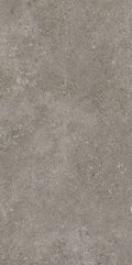 Płytka Montea Grey HoDP0181 60x120