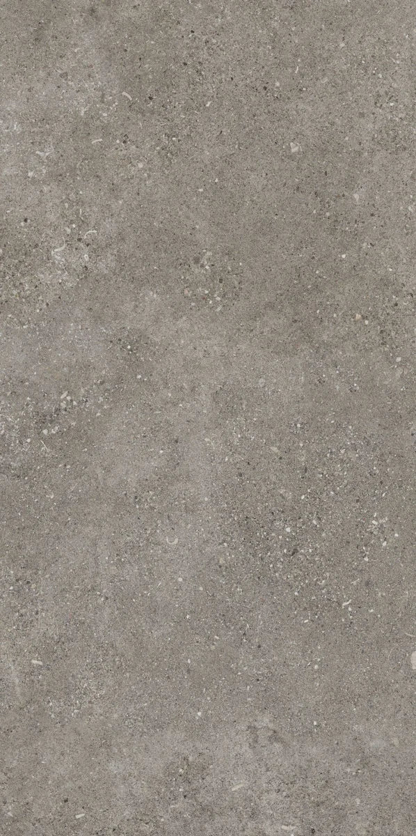 Płytka Montea Grey HoDP0181 60x120