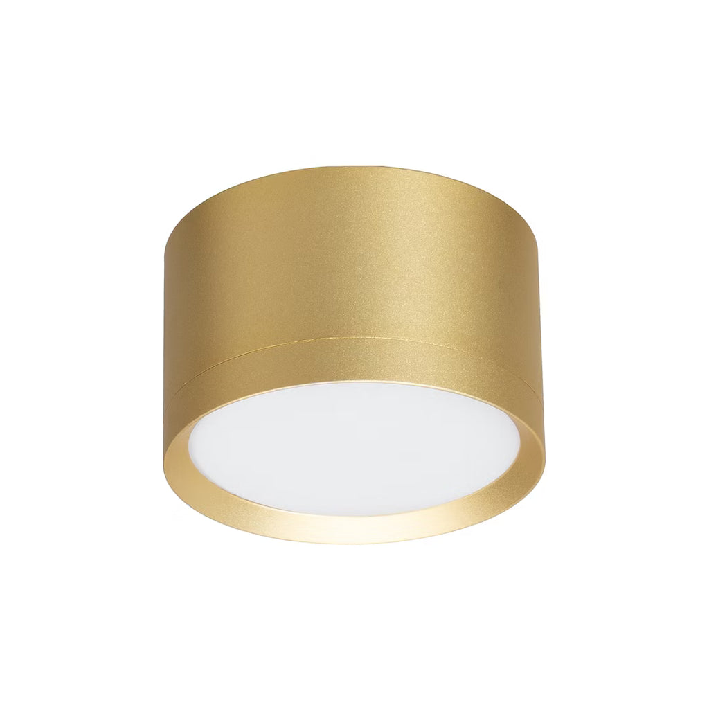 Lampa Sufitowa Spot HoDL079G