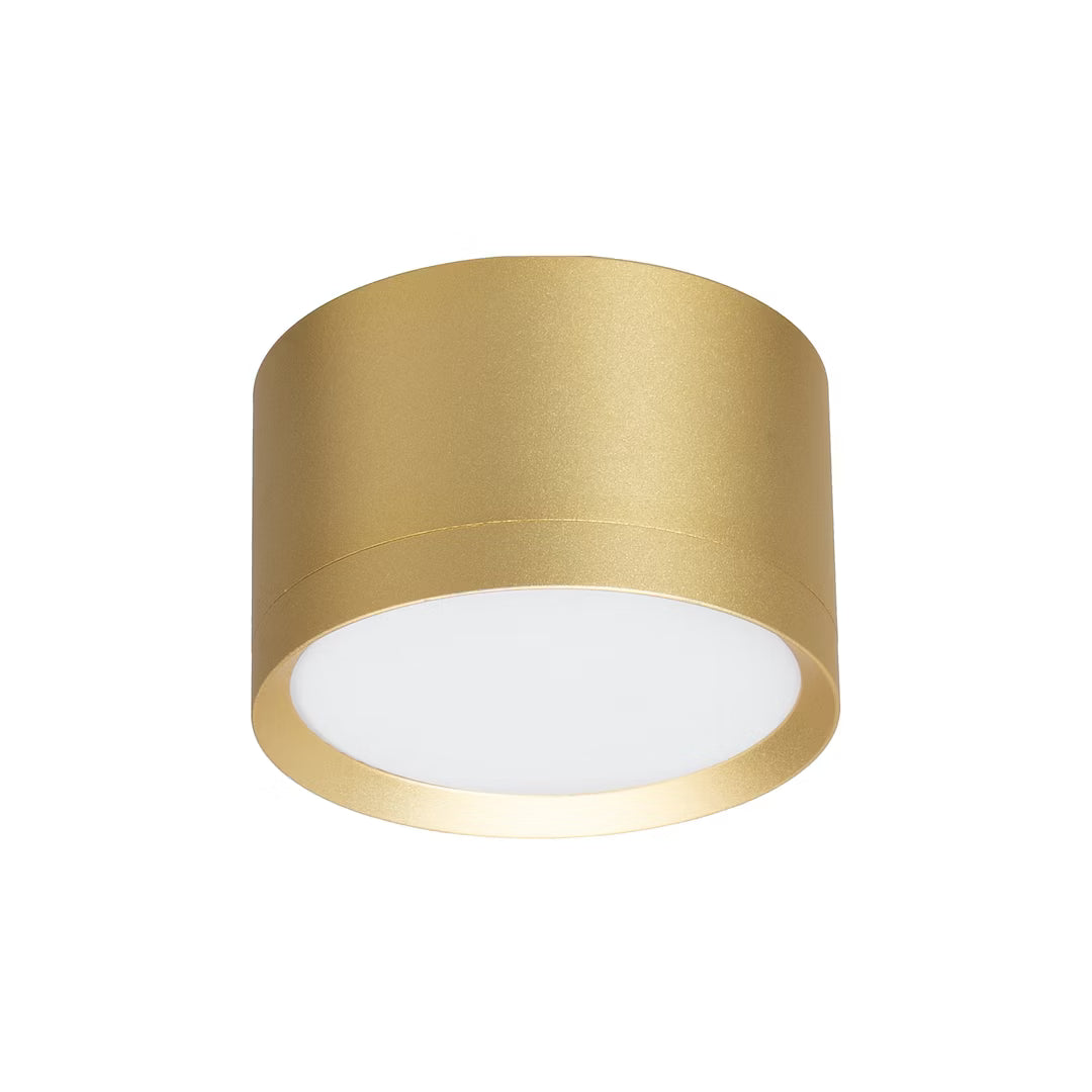 Lampa Sufitowa Spot HoDL079G