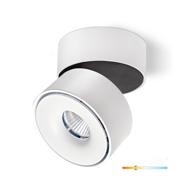 Lampa Sufitowa Spot HoDL014W