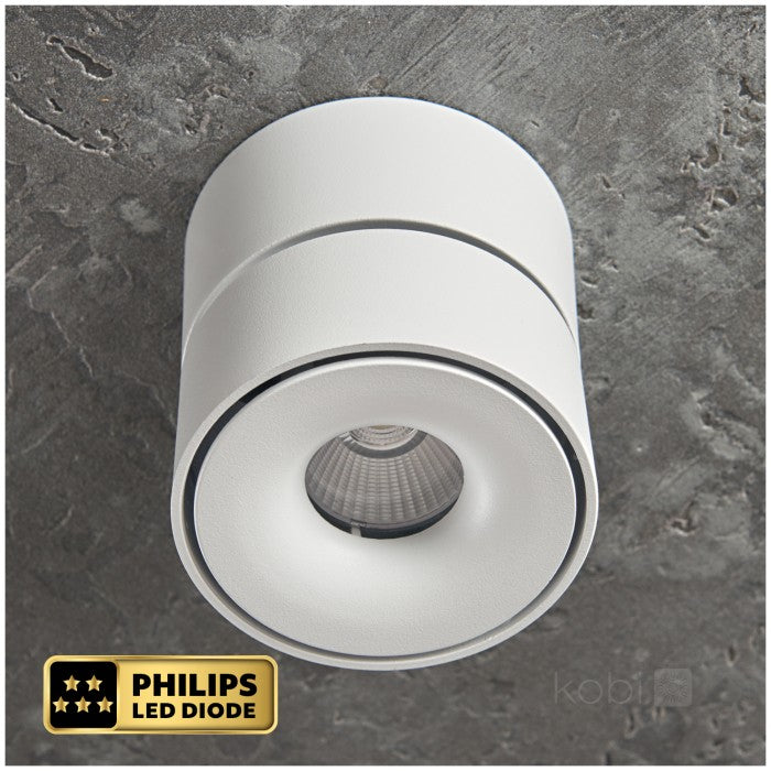 Lampa Sufitowa Spot HoDL014W