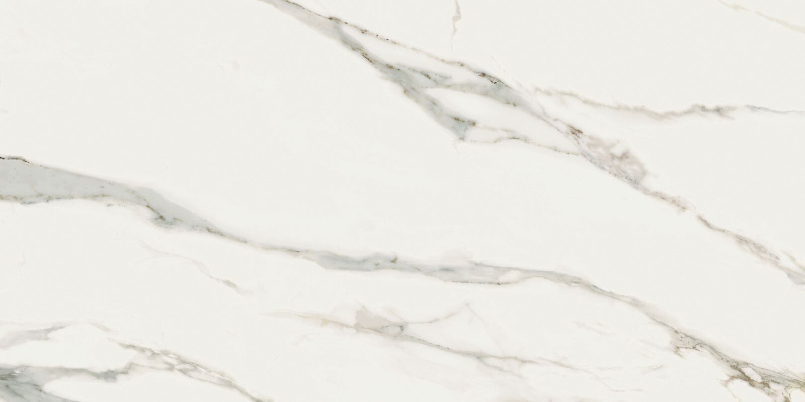 Płytka Signello Bianco HoDP0232 60x120