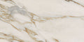 Płytka Signello Ivory HoDP0233 60x120