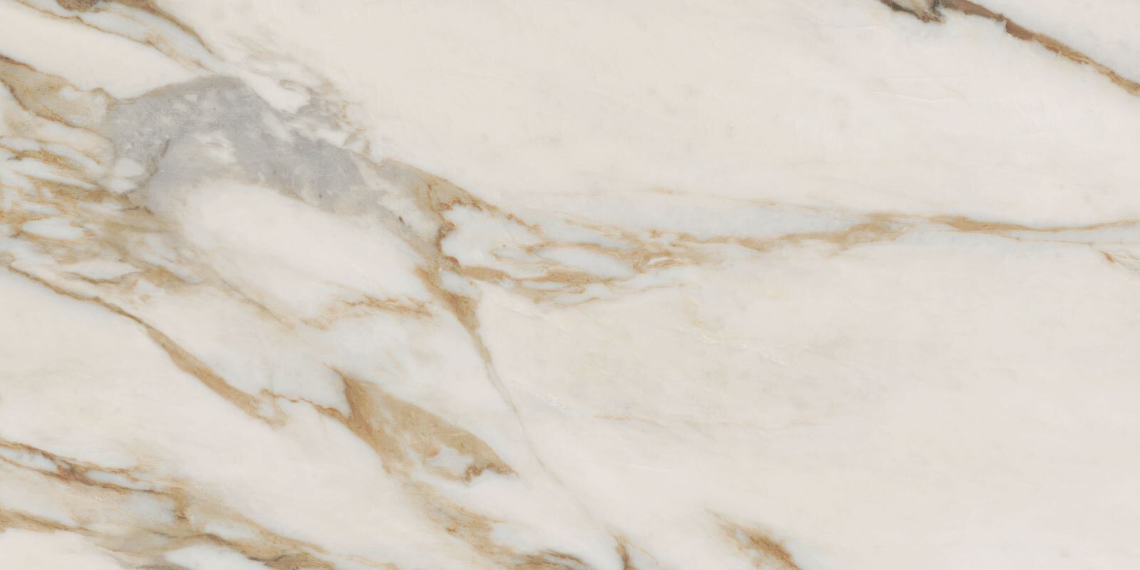 Płytka Signello Ivory HoDP0233 60x120