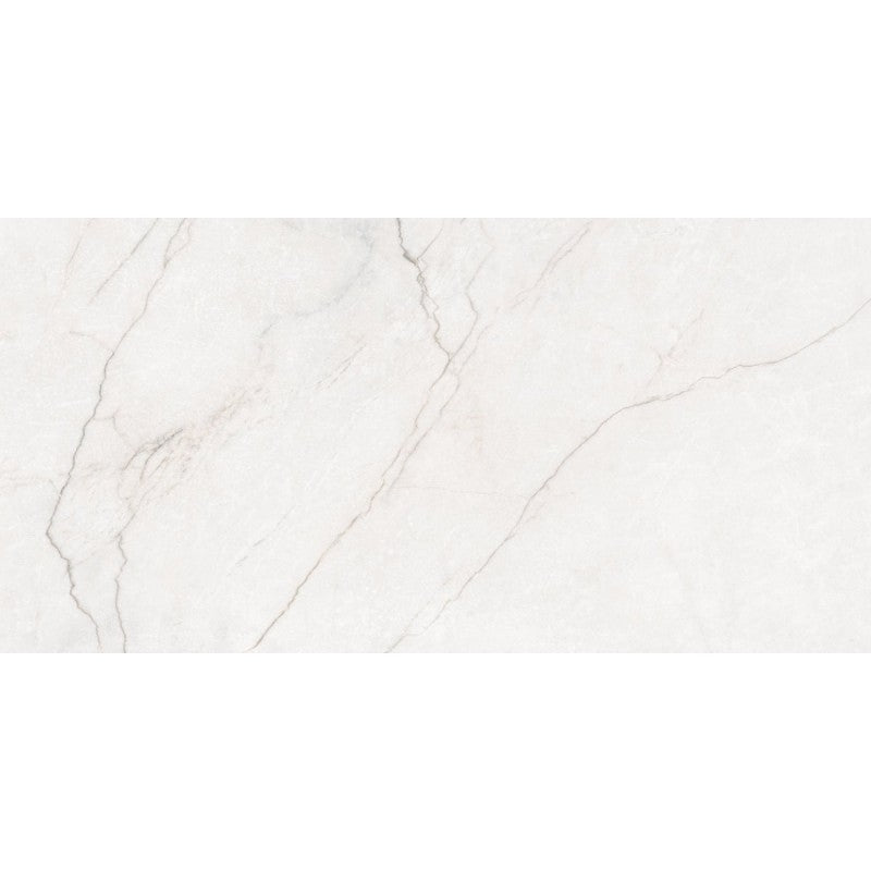 Płytka Arria Bianco HoDP0204 60x120