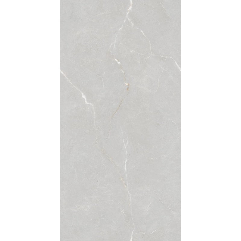 Płytka Lumenza Silver HoDP0218 60x120