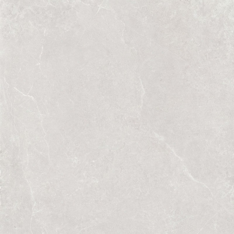 Płytka Albiona White HoDP0221 120x120