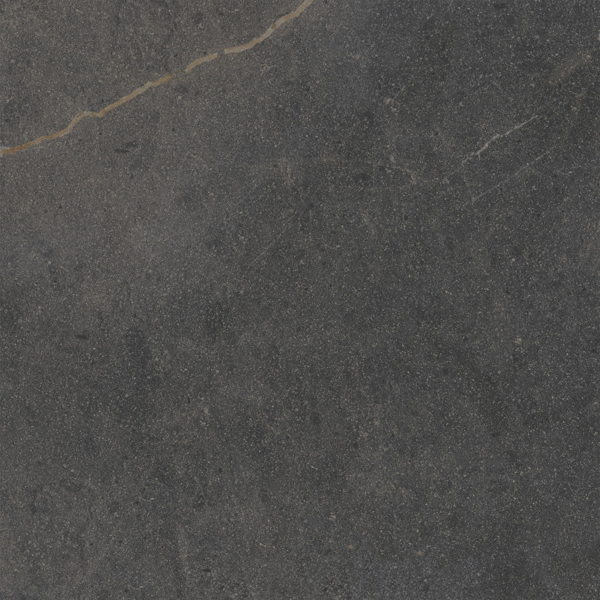 Płytka Almira Black HoDP043 120x120