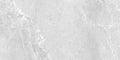 Płytka Gravero Gray HoDP098 60x120