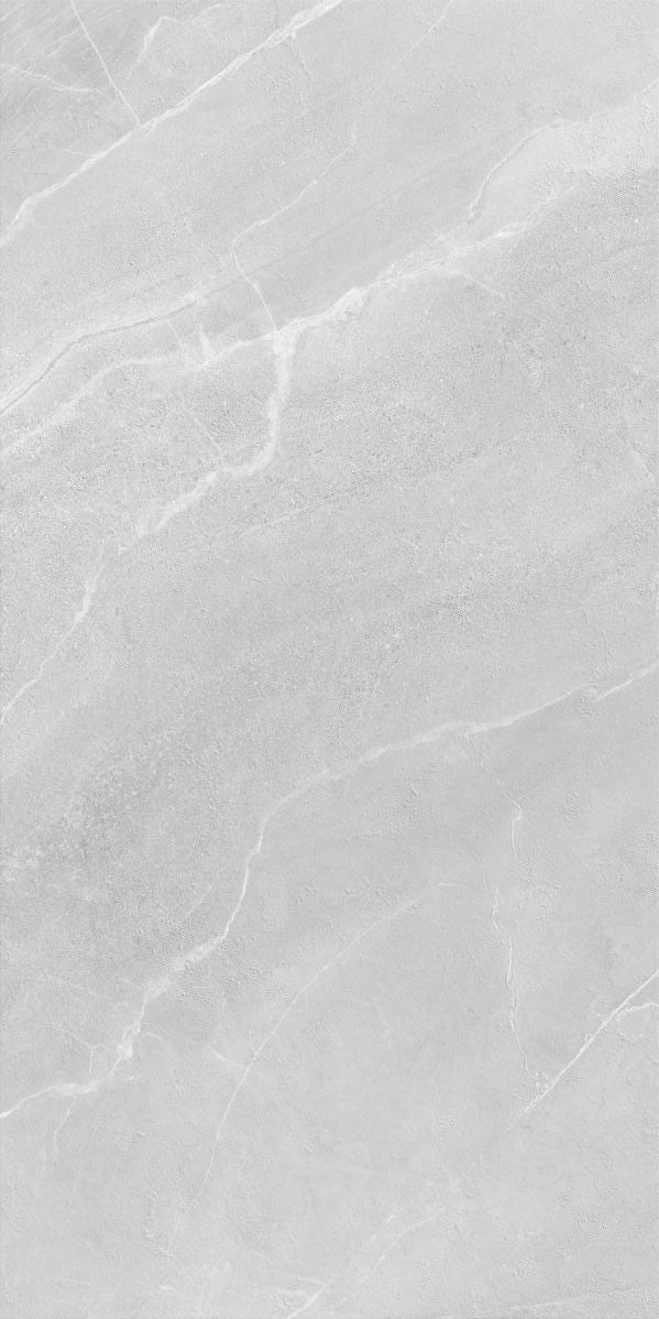Płytka Linea Grey HoDP022 120x60
