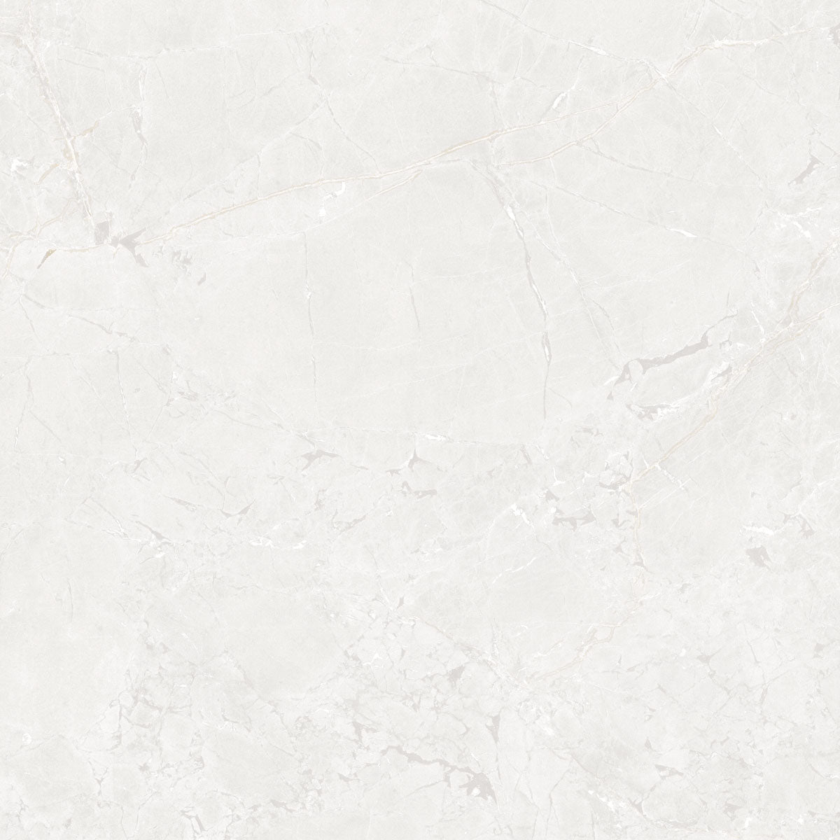 Płytka Aurel White HoDP045 120x120
