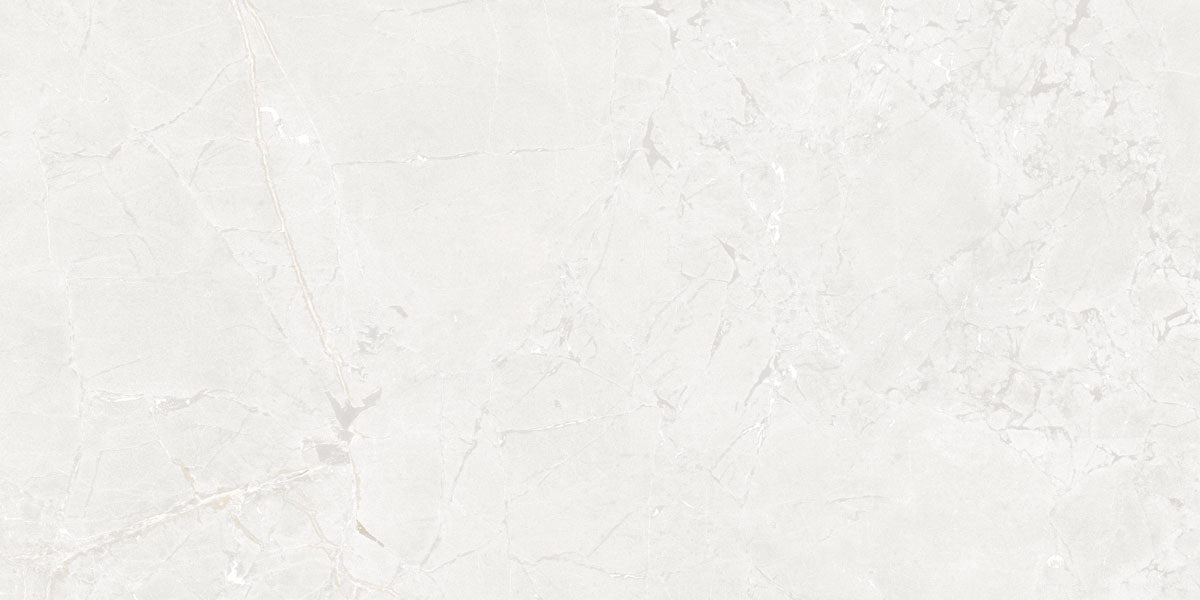 Płytka Aurel White HoDP044 60x120