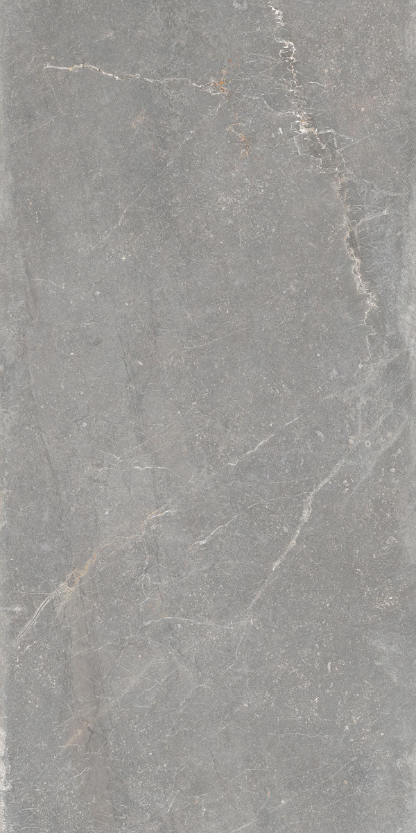Płytka Noir Grey HoDP030 120x60