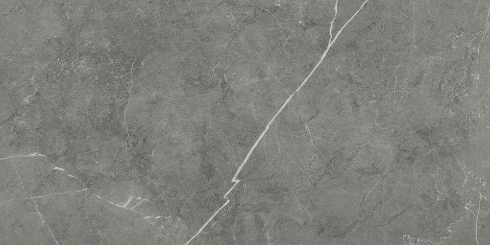 Płytka Montao Dark Grey HoDP0110 60x120