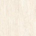 Płytka Avellino Ivory HoDP097 120x120