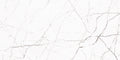 Płytka Elisio White MAT HoDP050 60x120