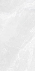 Płytka Linea Silver HoDP021 120x60