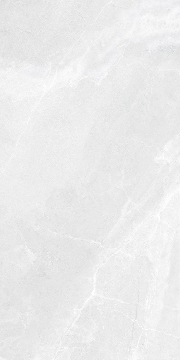 Płytka Linea Silver HoDP021 120x60