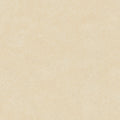 Płytka Terrano Base Beige HoDP059 120x120
