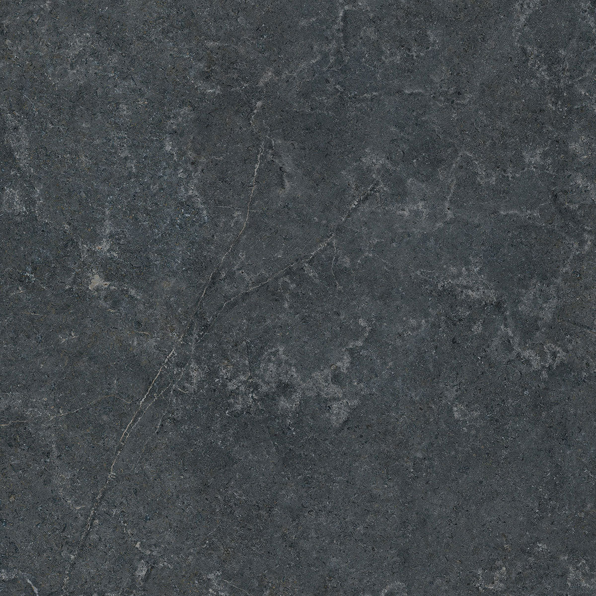 Płytka Velora Graphite HoDP073 120x120