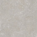 Płytka Velora Light Grey HoDP071 120x120