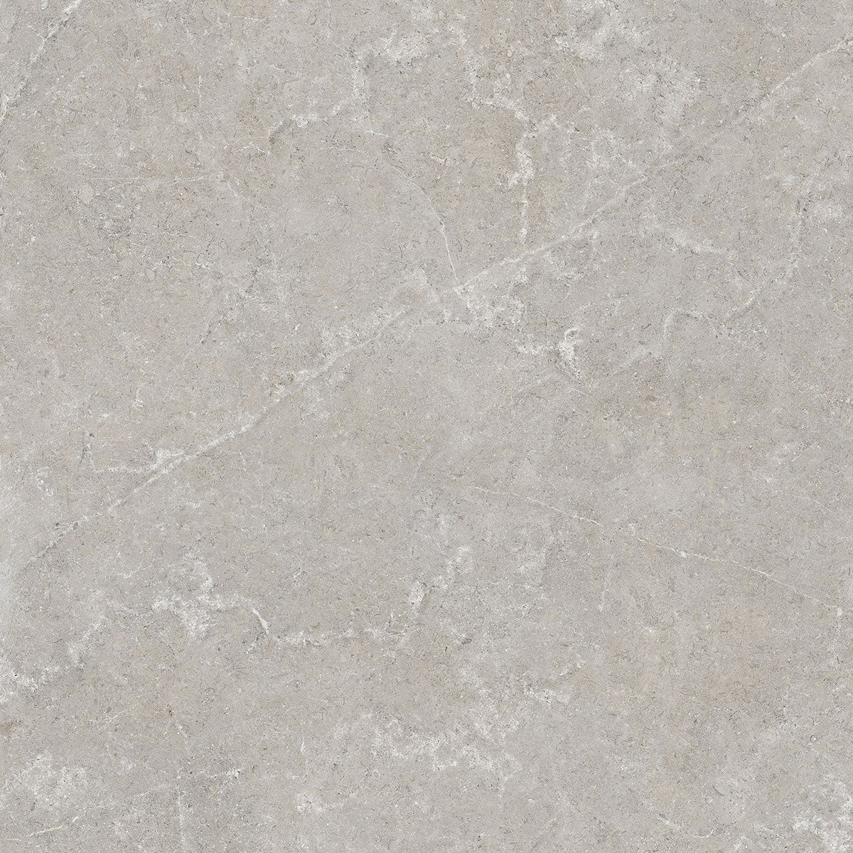 Płytka Velora Light Grey HoDP071 120x120