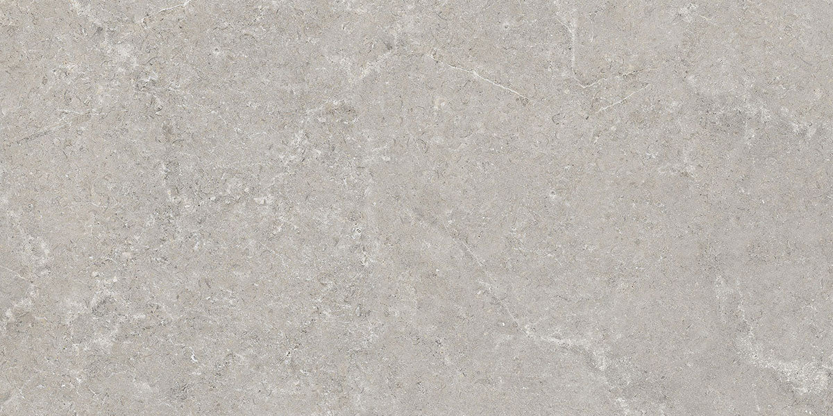 Płytka Velora Light Grey HoDP070 60x120