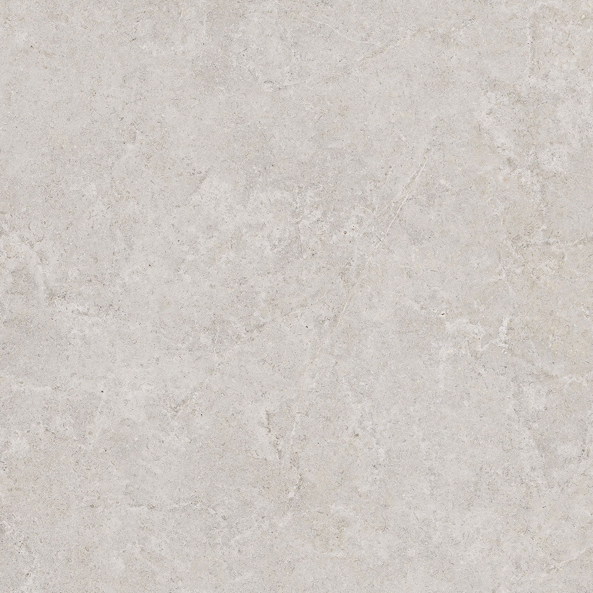 Płytka Velora Silver HoDP069 120x120