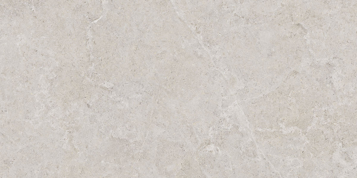 Płytka Velora Silver HoDP068 60x120
