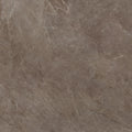 Płytka Stone Taupe HoDP014 120x120