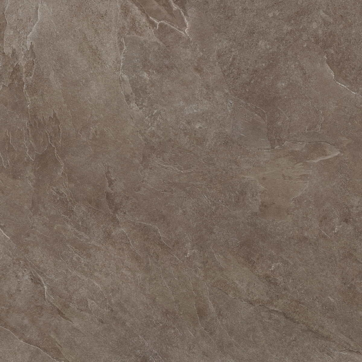 Płytka Stone Taupe HoDP014 120x120