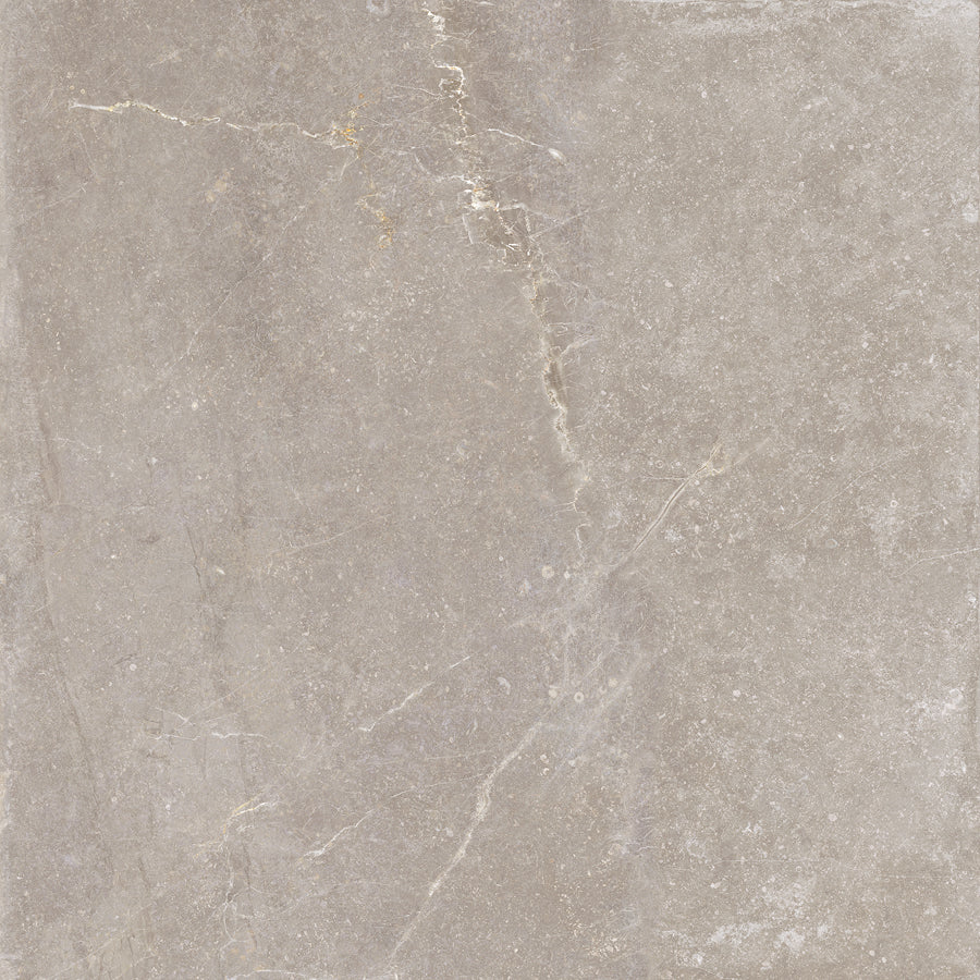 Płytka Noir Taupe HoDP024 90x90