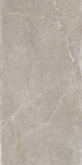 Płytka Noir Taupe HoDP031 120x60