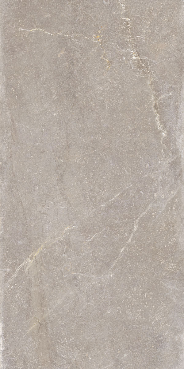 Płytka Noir Taupe HoDP031 120x60