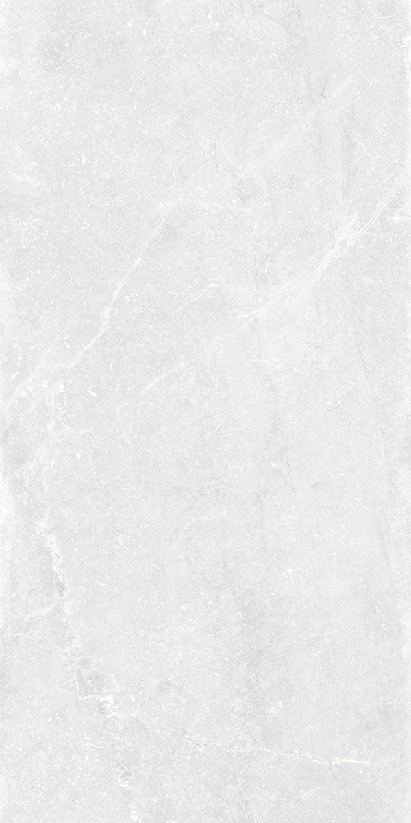 Płytka Noir White HoDP028 120x60